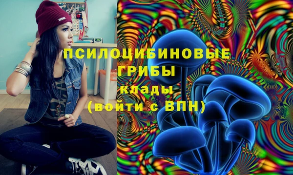 винт Михайловка