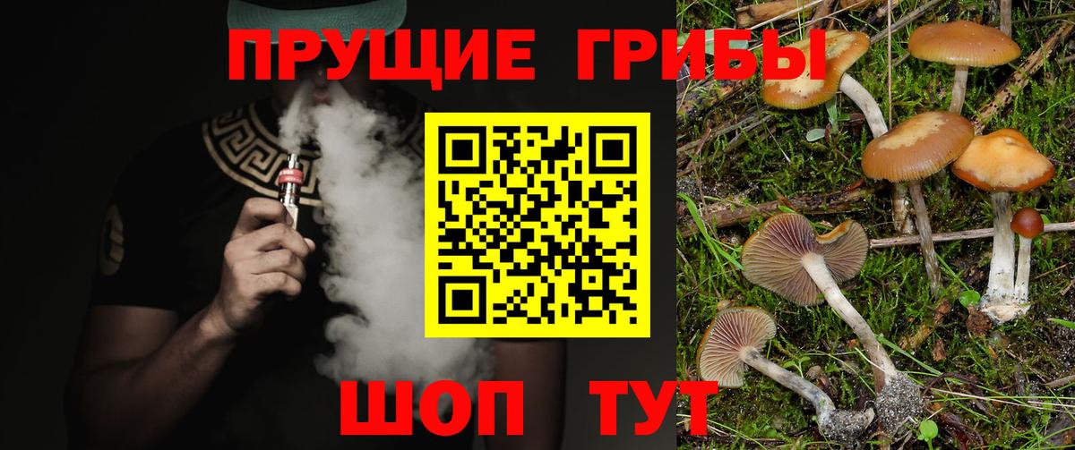 Галлюциногенные грибы Psilocybe  Галлюциногенные грибы Psilocybe  Печора  Вход с VPN 