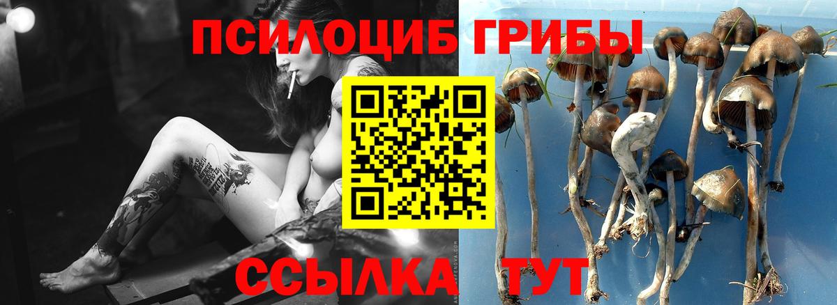 Псилоцибиновые грибы ЛСД Печора