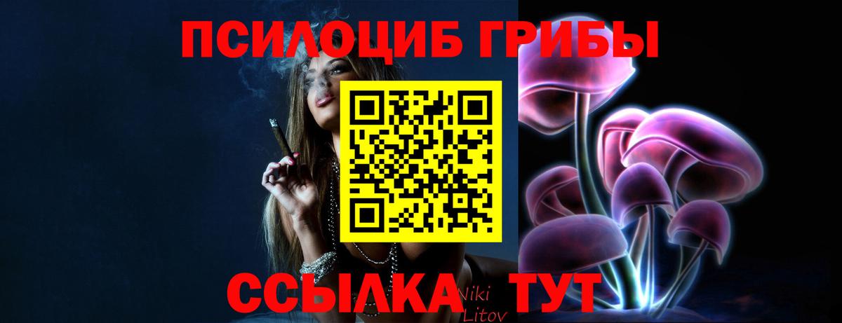 Псилоцибиновые грибы прущие грибы  Вход с VPN  Печора  Псилоцибиновые грибы мицелий 